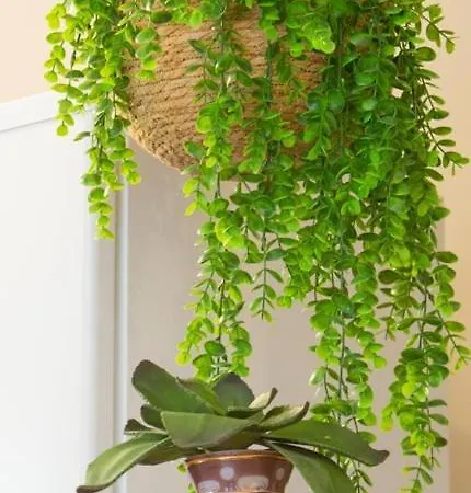 Ehm Bed & Breakfast Barletta